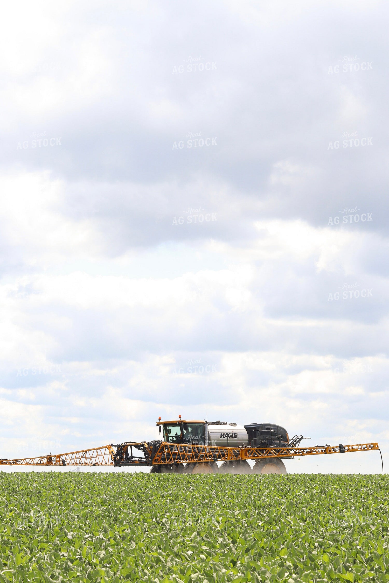 Spraying Soybeans 109127