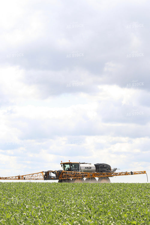 Spraying Soybeans 109127