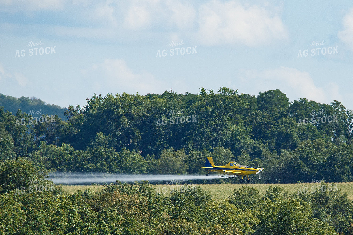 Crop Duster Flying 145019