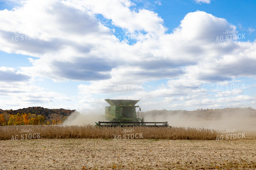 Soybean Harvest 52589