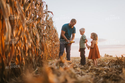 Farmer Checking Corn with Kids 9397