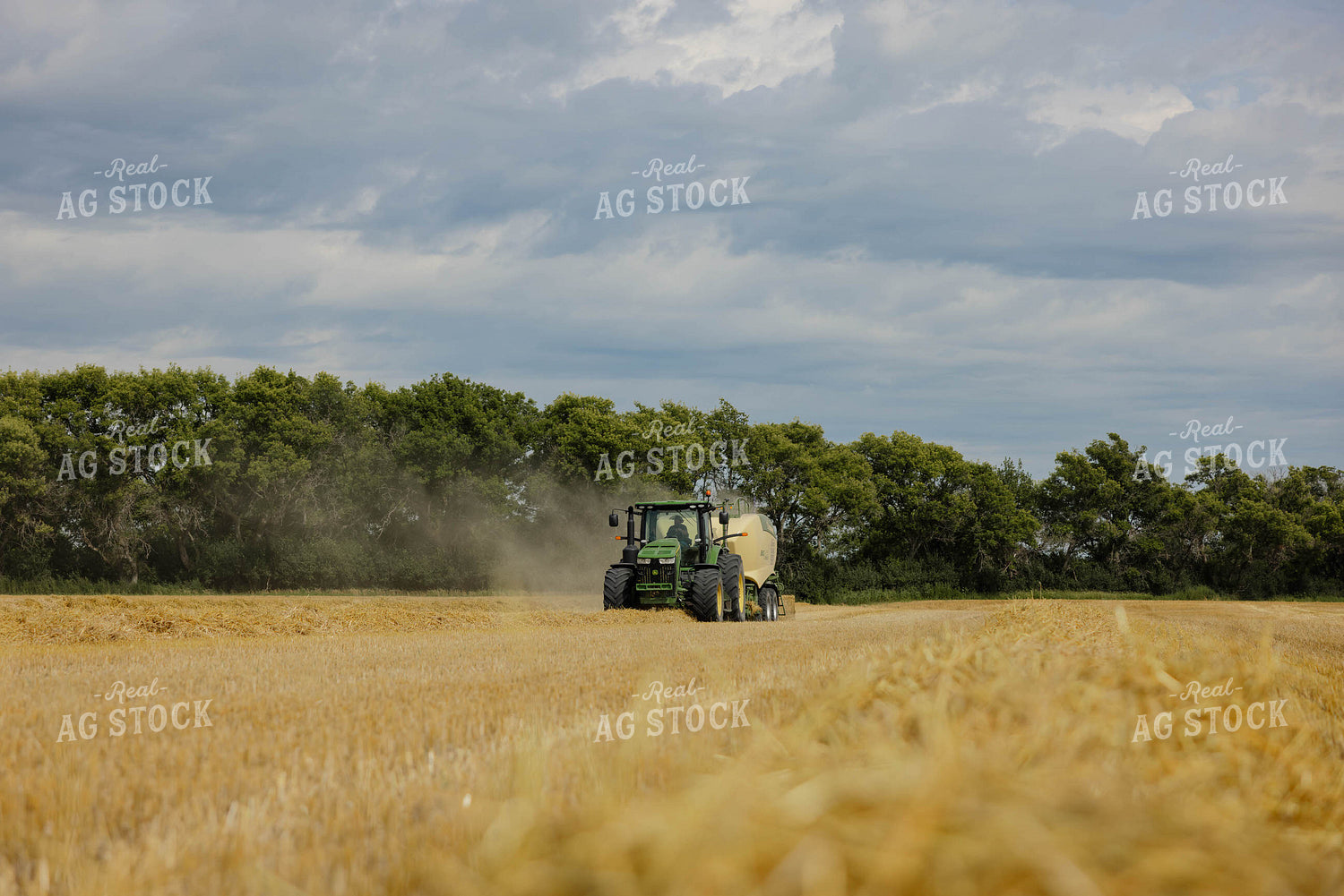 Baling Wheat Straw 296055