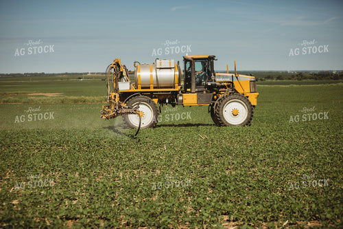 Spraying Soybeans 4393