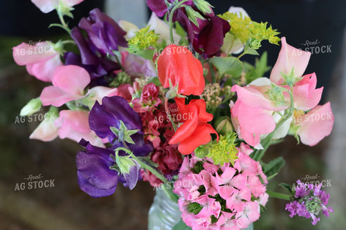 Flower Farm Bouquets 201003