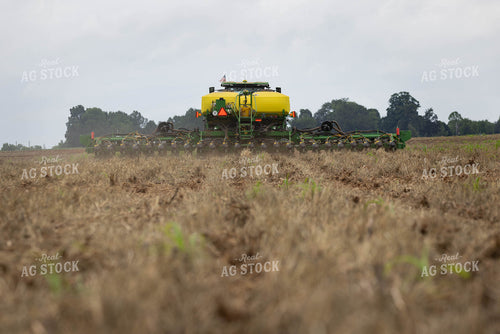 Planting 79651