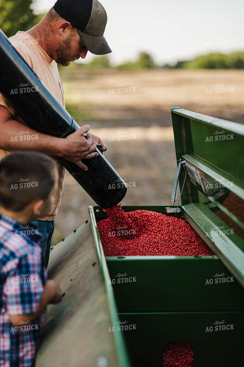 Filling Planter 115207