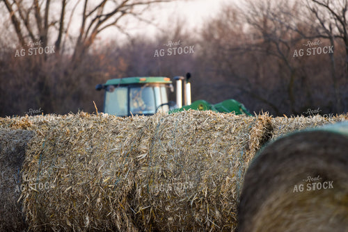 Hay Bales 176004