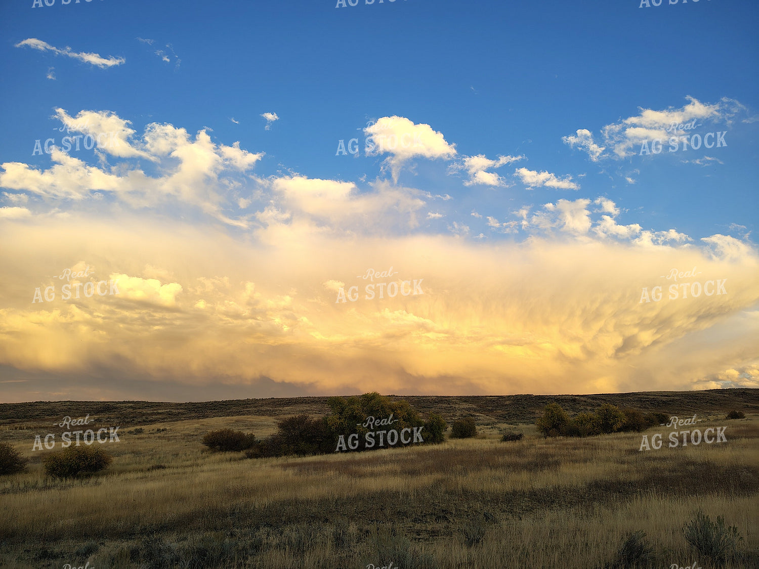 Rural Landscape 122067