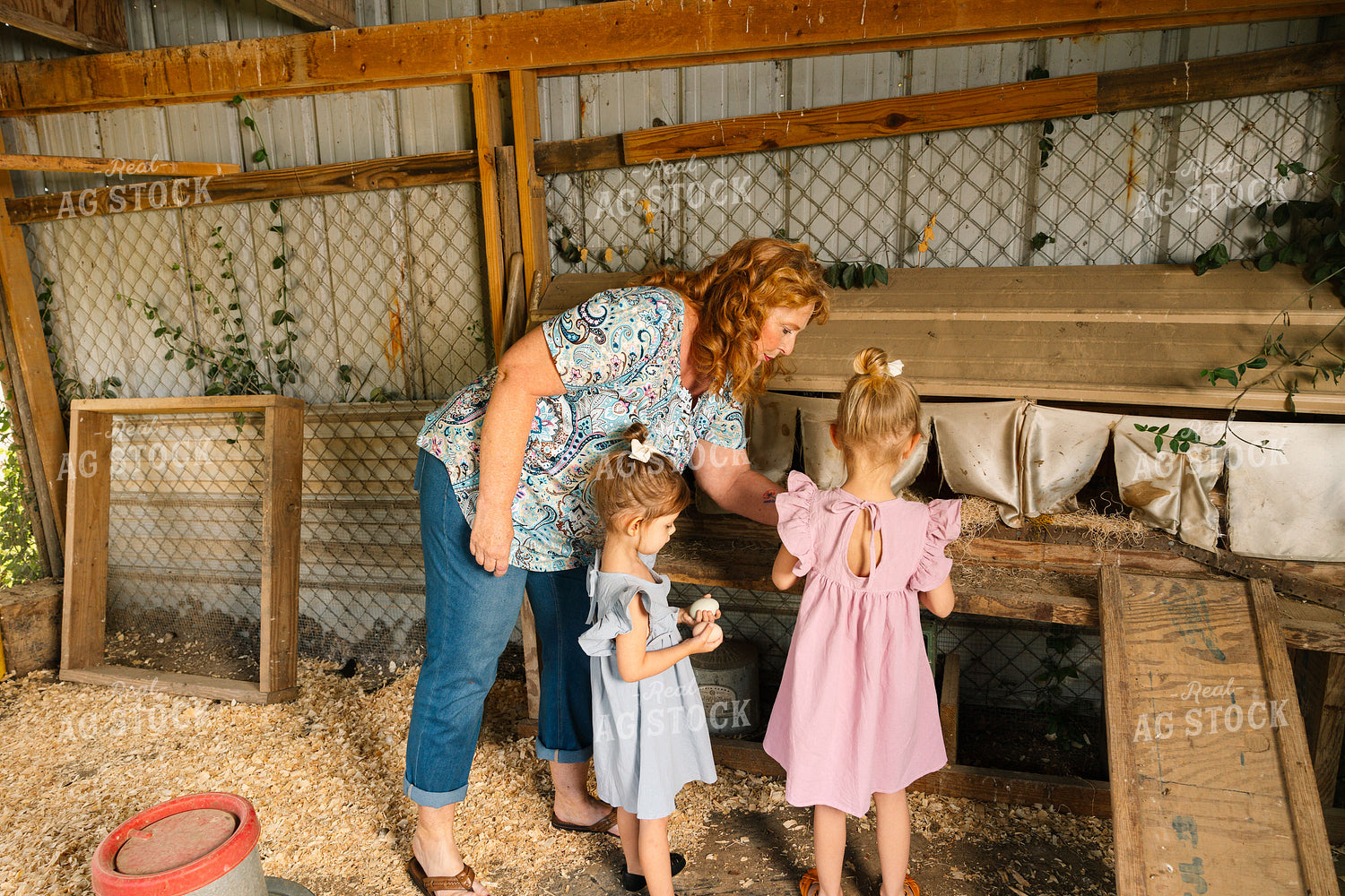 Gathering Eggs 52838