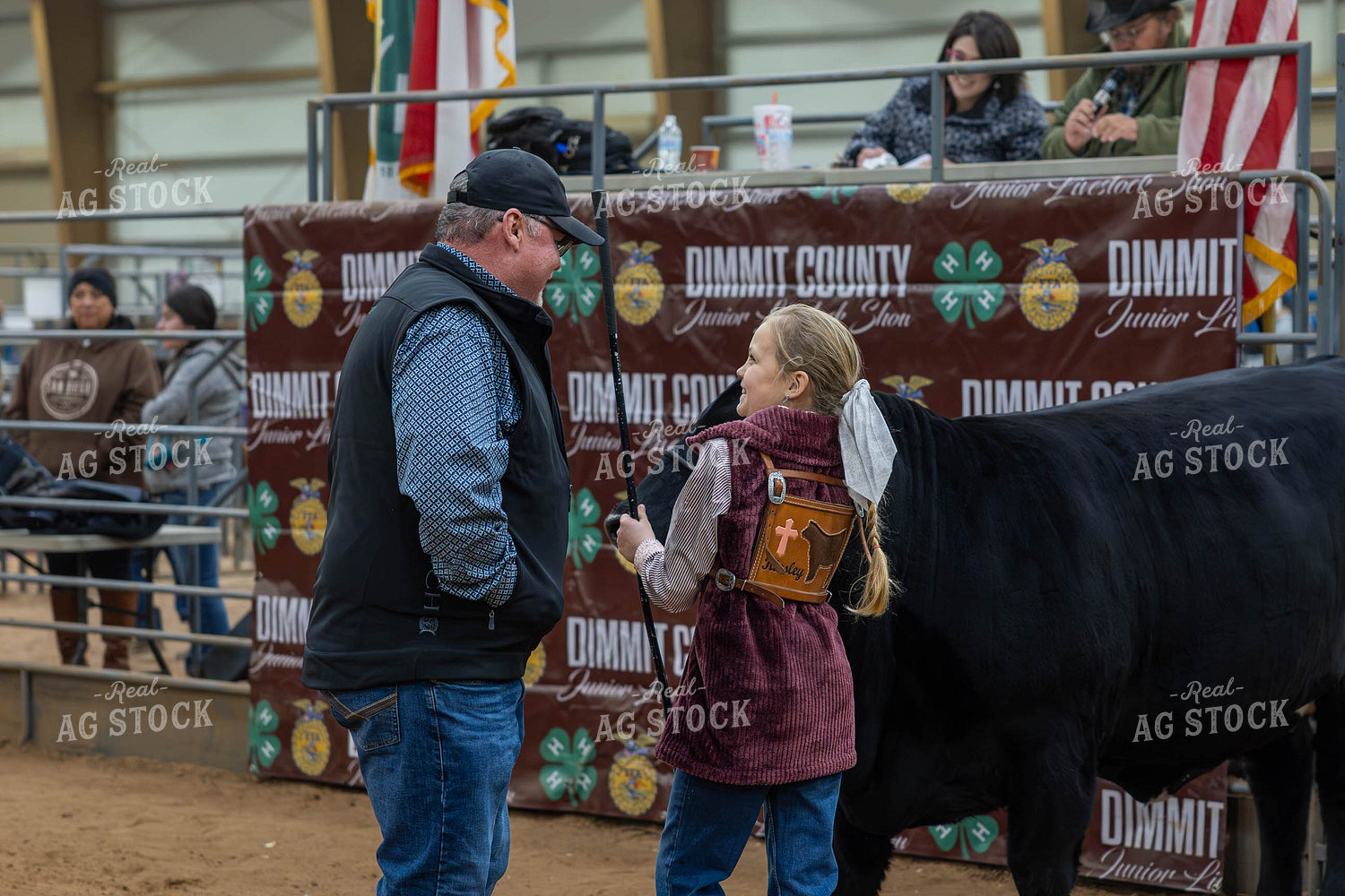 Showing Cattle 98050