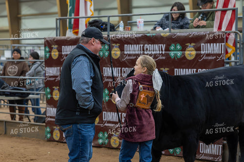 Showing Cattle 98050
