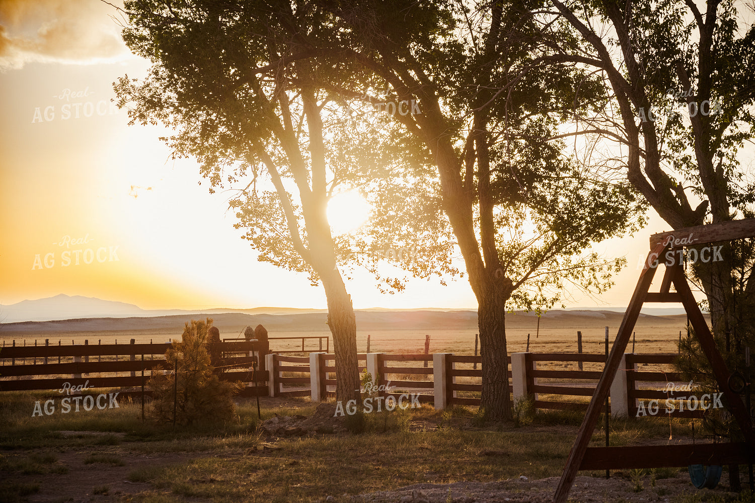 Scenic Ranch Sunset 258004