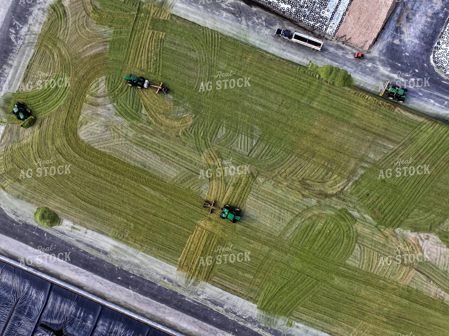 Aerial of Corn Silage Storage at Dairy Farm 141392