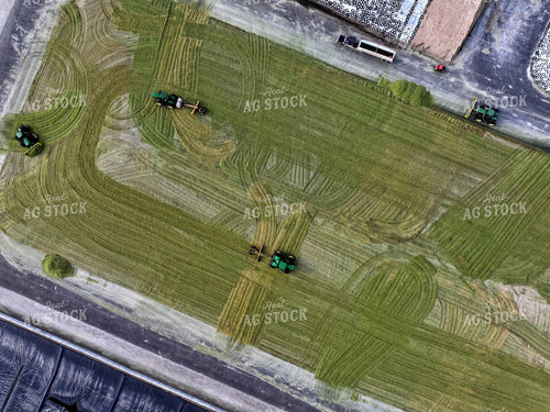 Aerial of Corn Silage Storage at Dairy Farm 141392
