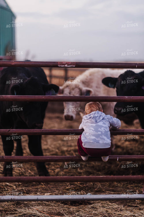 Farm Kid on Gate 115109
