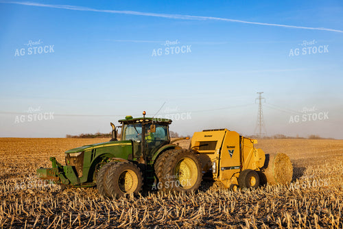 Making Corn Stalk Bales 152365