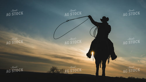 Cowboy Roping on Horseback Silhouette 219152