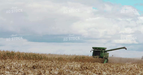 Harvesting Corn with Blue Skies 3904
