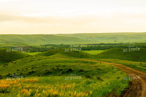 Rural Landscape 299057