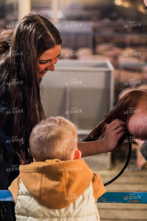 Female Veterinarian Checking Weaned Pigs 289093