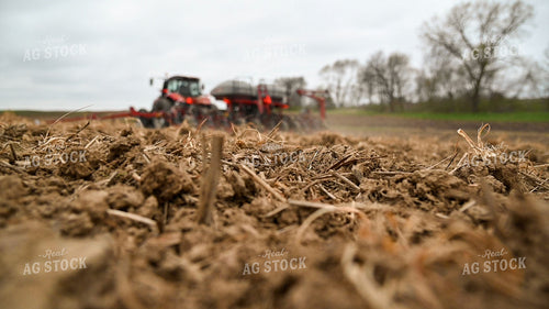 Planting into Tilled Cover Crops 25176
