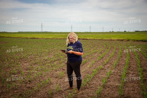 Female Agronomist Scouting Field 67749