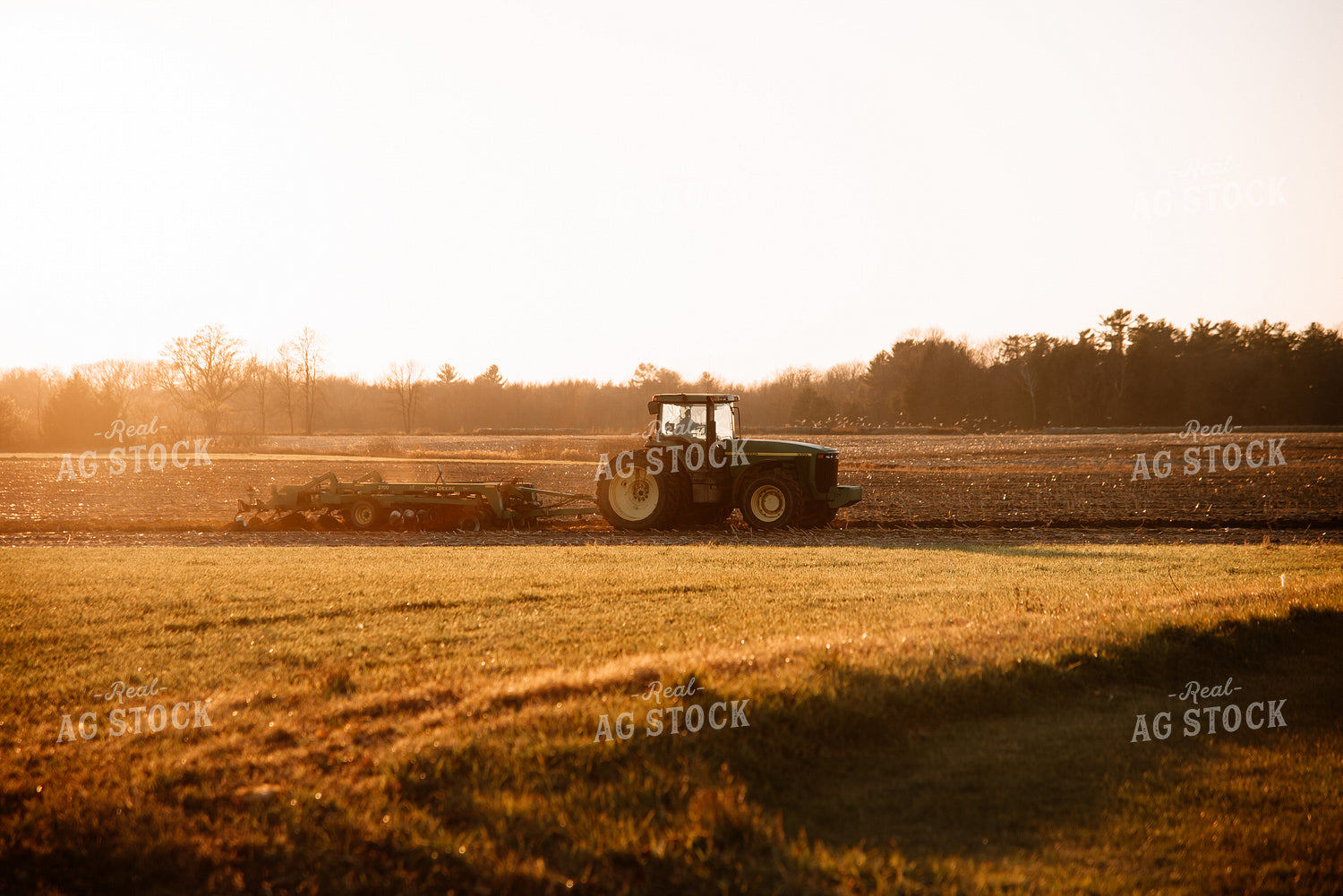 Tractor Cultivating a Field 137012