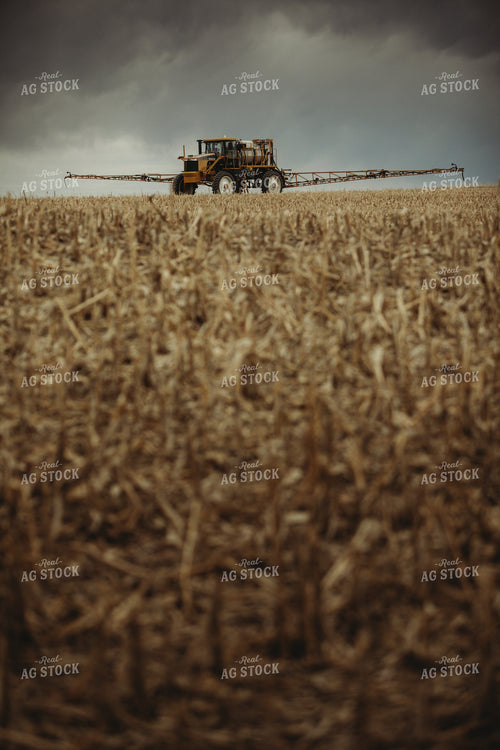 Self Propelled Sprayer Spraying in Corn Field 3665