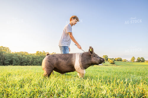Farm Kid with Show Pig 270088