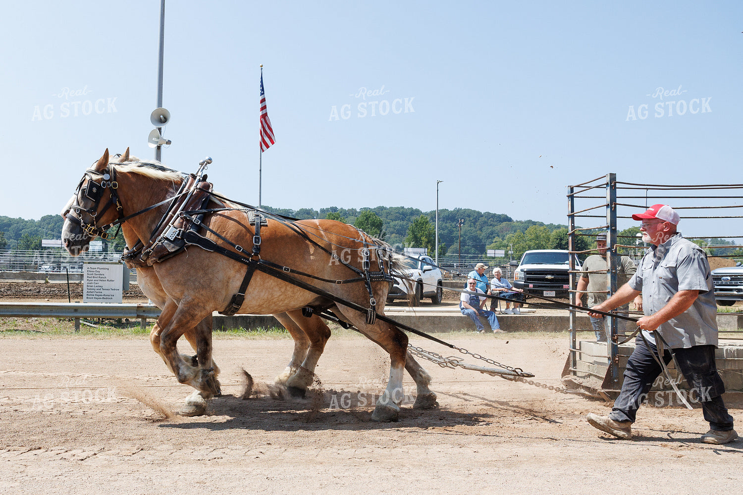 Horse Pulling 52903