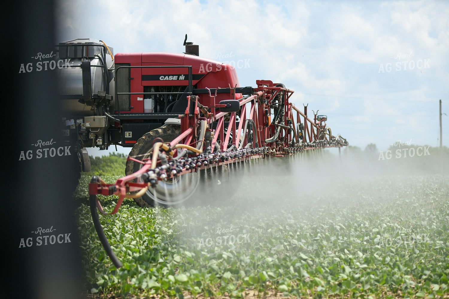 Spraying 191223