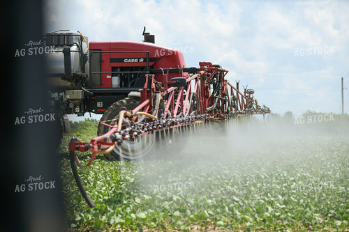 Spraying 191223