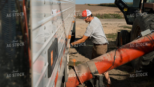 Farmer Filling Bin with Sweep Auger 26095