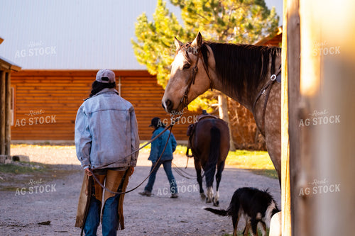 Female Rancher with Horse 163011
