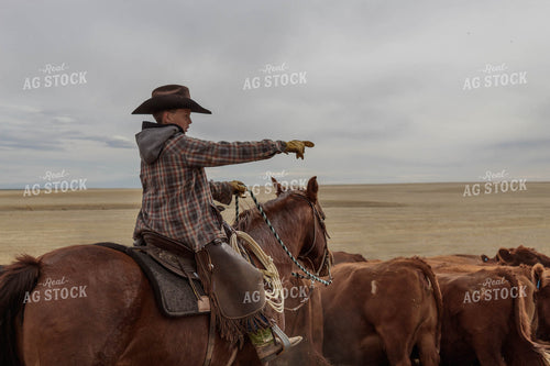 Rancher with Cattle 97005
