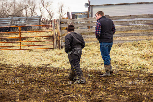 Farmer and Farm Kid on Cattle Farm 155124