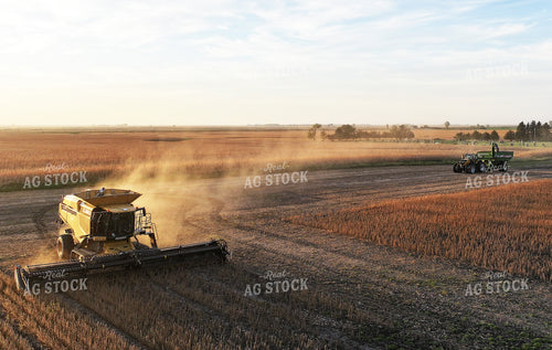 Soybean Harvest 141475