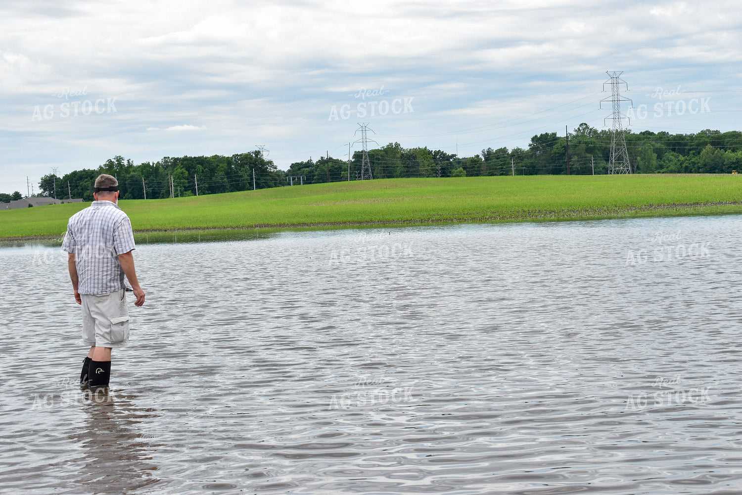 Farmer in Flooded Corn Field 84199
