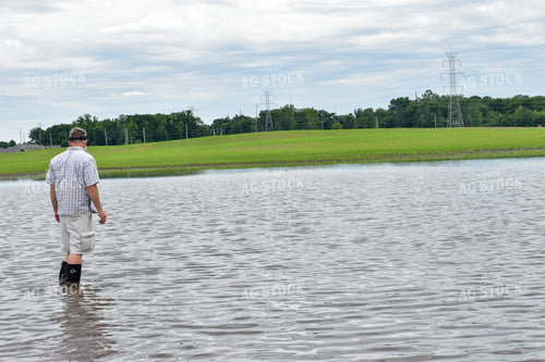 Farmer in Flooded Corn Field 84199