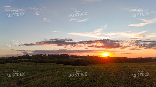 Aerial of Pasture at Sunset 191279