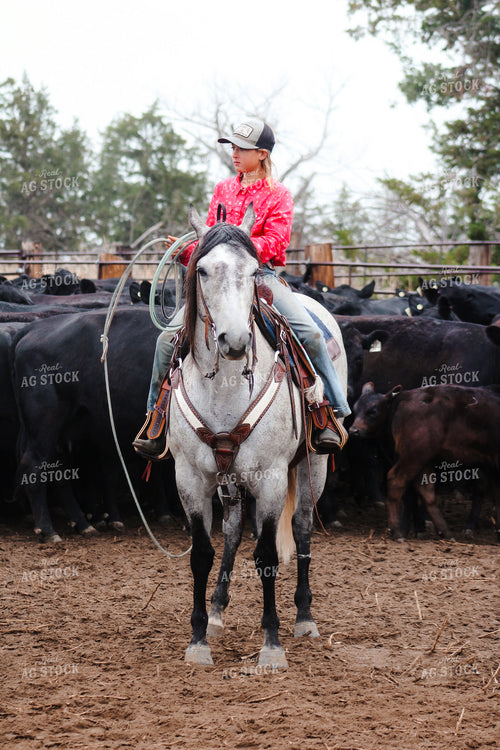 Farm Kid Sorting Cattle on Horseback 237032