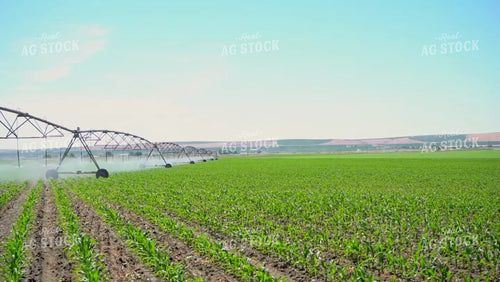 Pivot Irrigation System 146026