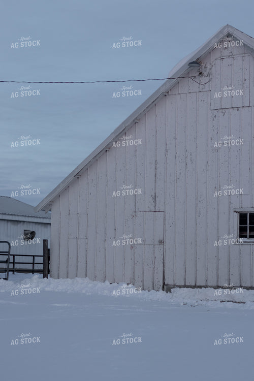 White Barn in Snow 67190