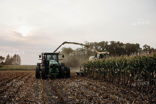 Chopping Corn Silage 152015