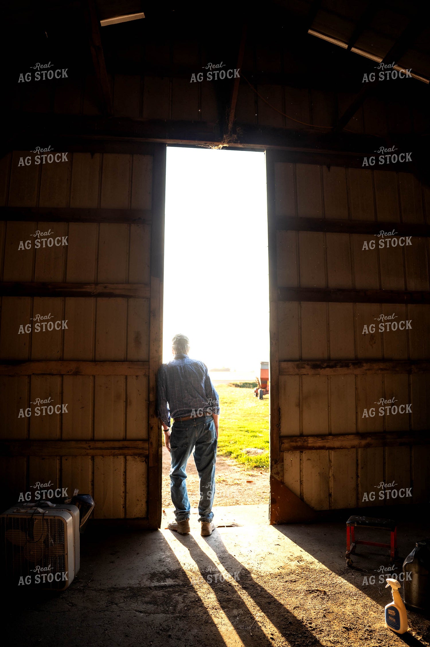 Farmer in Shed 115873