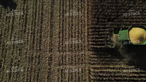 Corn Harvest 115188