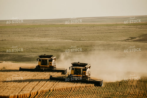 Combine Threshing Wheat 64095
