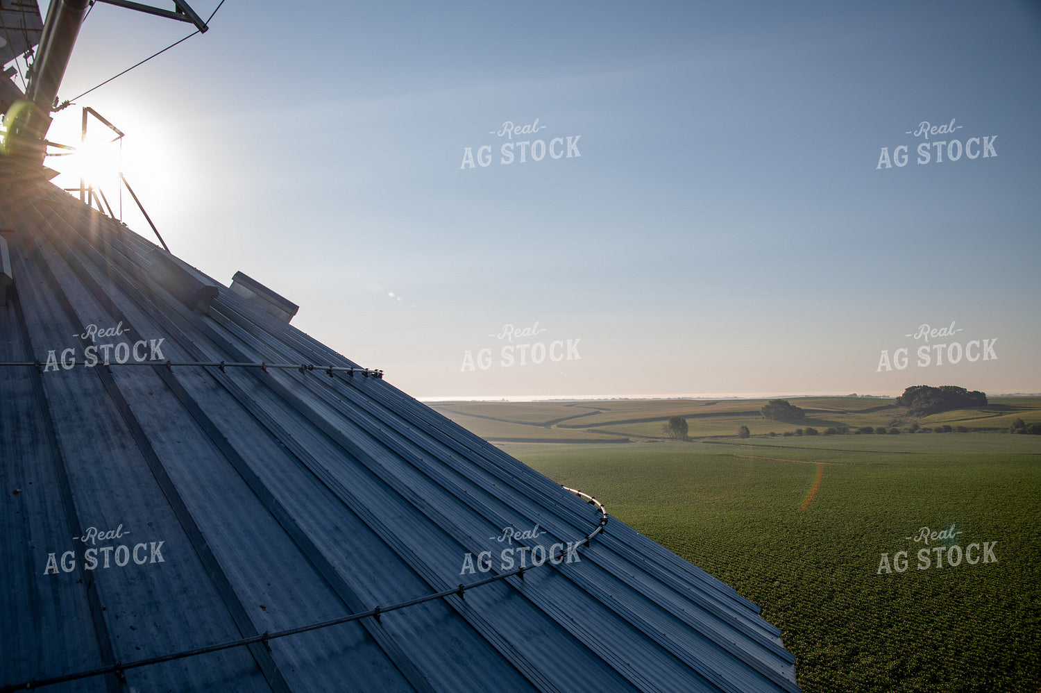Foggy Sunrise over Soybean Field from Top of Grain Bin 25029