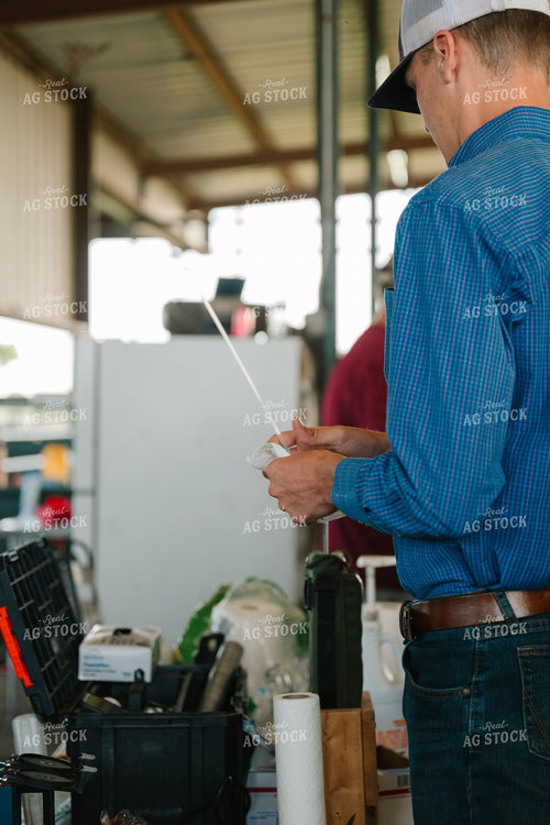 Rancher Preparing Artificial Insemination (AI) Sample 125122