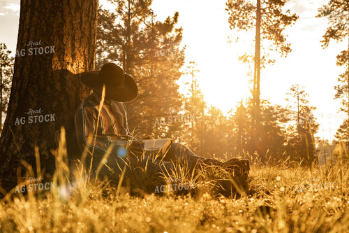 Rancher Reading 58312